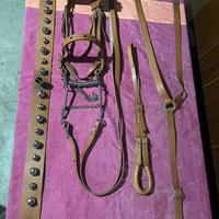 Attrezzatura per cavallo