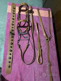 Attrezzatura per cavallo