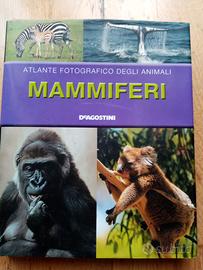 Libro sui mammiferi