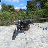Beta rr 50