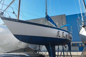 Dullia D 36 Pupa - Pronta a salpare