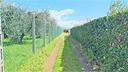 ter-agricolo-a-lariano