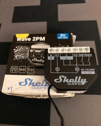 Shelly Qubino wave 2pm