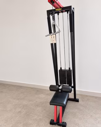 Lat Machine Technogym  Professionale