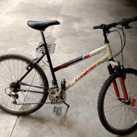 Mountain bike 