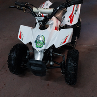 Mini quad racer profive