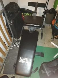 leg extension leg curl combo titanium strenght