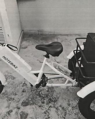 Triciclo Elettrico Cargo HOTEBIKE mai usata 