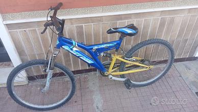 Bicicletta
