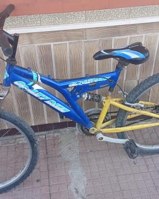 Bicicletta