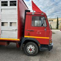 Camion trasporto bestiame
