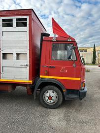 Camion trasporto bestiame