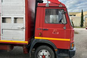 Camion trasporto bestiame