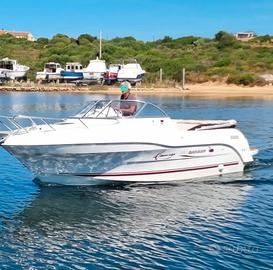quich silver 620 cruiser flamingo