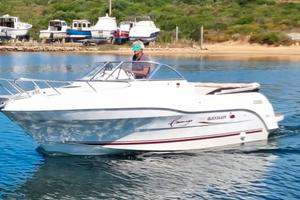 quich silver 620 cruiser flamingo