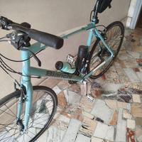 Bianchi camaleonte
