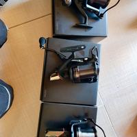 daiwa tournament basia dcr 2