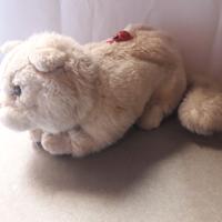 PELUCHE GATTO BEIGE CON COCCINELLA SULLA SCHIENA