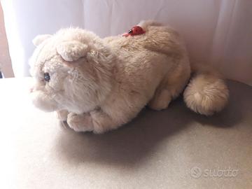 PELUCHE GATTO BEIGE CON COCCINELLA SULLA SCHIENA
