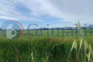 Terreno Agricolo Bettona [GRIM2695VCG]