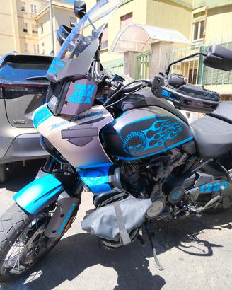 Harley Pan America