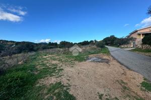 TER. RESIDENZIALE A BUDONI