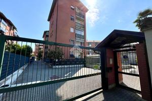 BOX A COLLEGNO