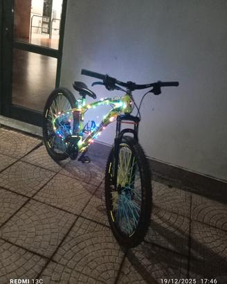 bicicletta