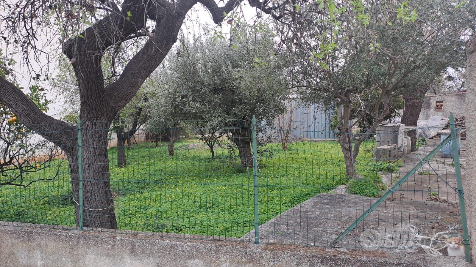 Terreno edificabile + rustico - Vista 4