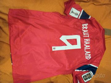 maglia Nike Norvegia halland