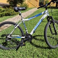 BICICLETTA - MTB Lombardo