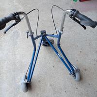 carrellino per guida disabili 