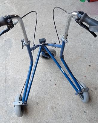 carrellino per guida disabili 