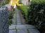 Immagine 11