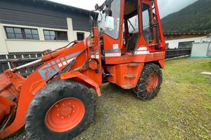 Pala gommata 