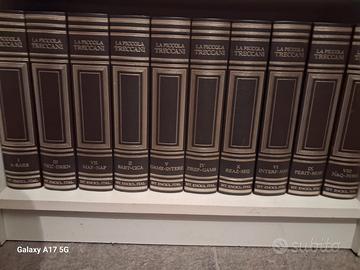 Piccola Treccani Anno 1995