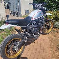 Ducati scrambler desert sled