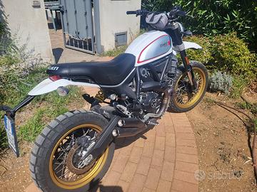 Ducati scrambler desert sled