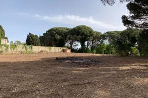 Terreno Agricolo, Castanea delle Furie