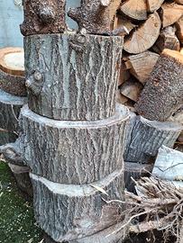 tronco di legno stagionato