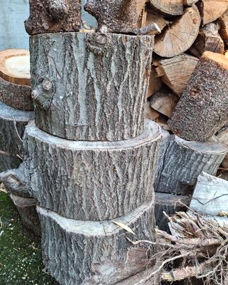 tronco di legno stagionato