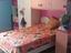 Immagine 7