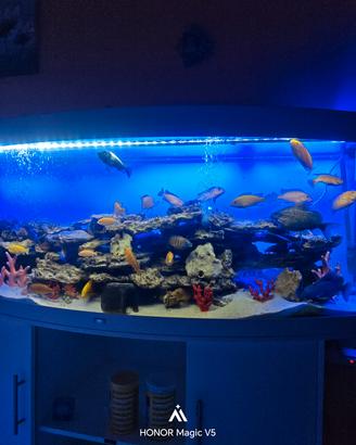 acquario juwel vision 450