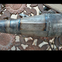 Marmitta Leo vinci per rr50