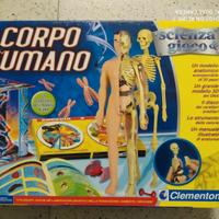 Il corpo umano