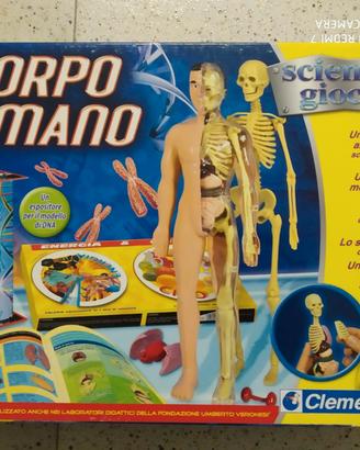 Il corpo umano