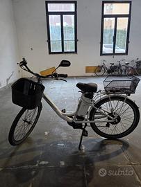 Bicicletta elettrica