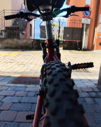 bicicletta