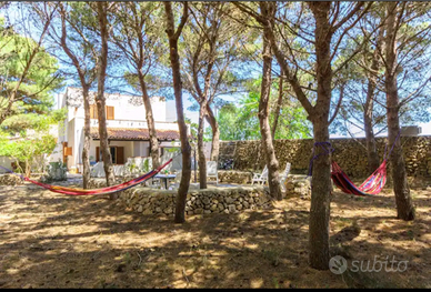 Villa con pineta a Favignana