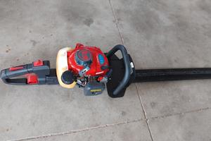 Tagliasiepi a scoppio kawasaki